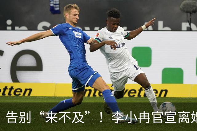 告别“来不及”！李小冉官宣离婚