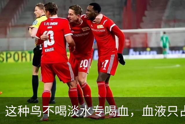 这种鸟不喝淡水专喝血，血液只占食谱十分之一